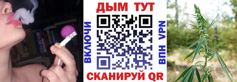 где найти Змеиногорск МАРИХУАНА Ganja